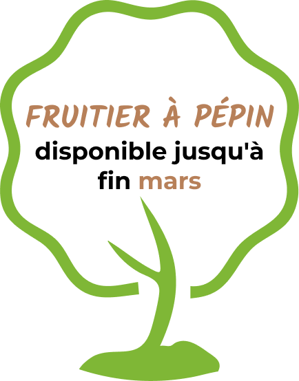 Pastille 2